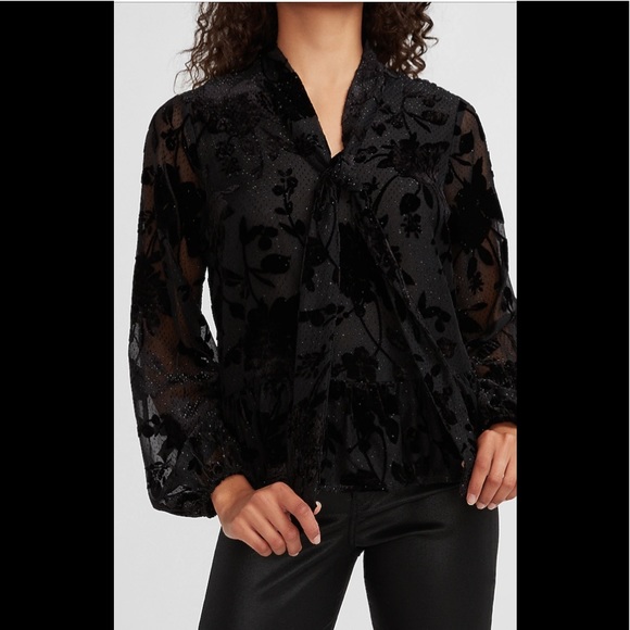 Express Chic Silhouette Velvet Floral Design Tie Neck and Sheer Balloon Sleeves - Picture 2 of 6